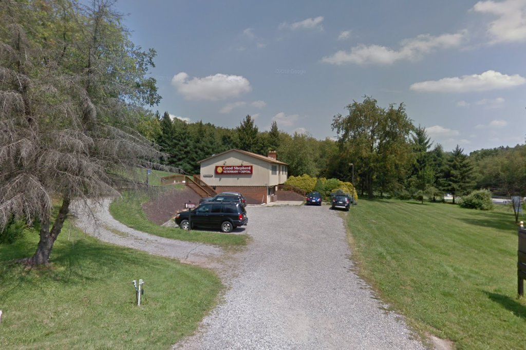 Good Shepherd Veterinary Hospital