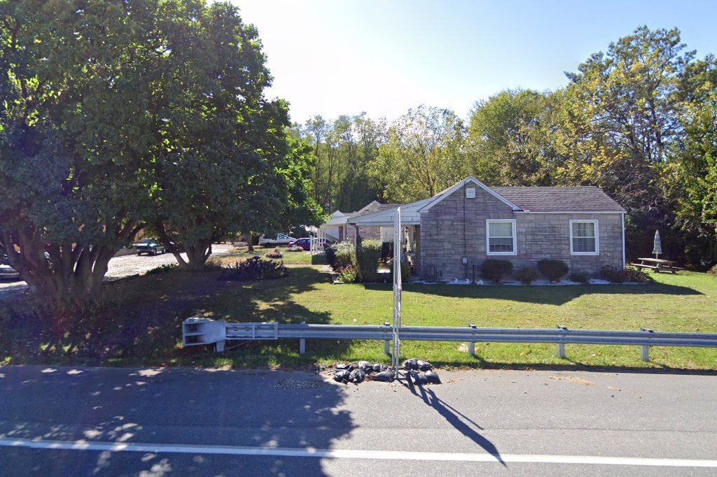 Lair of Dragons Bird Rescue