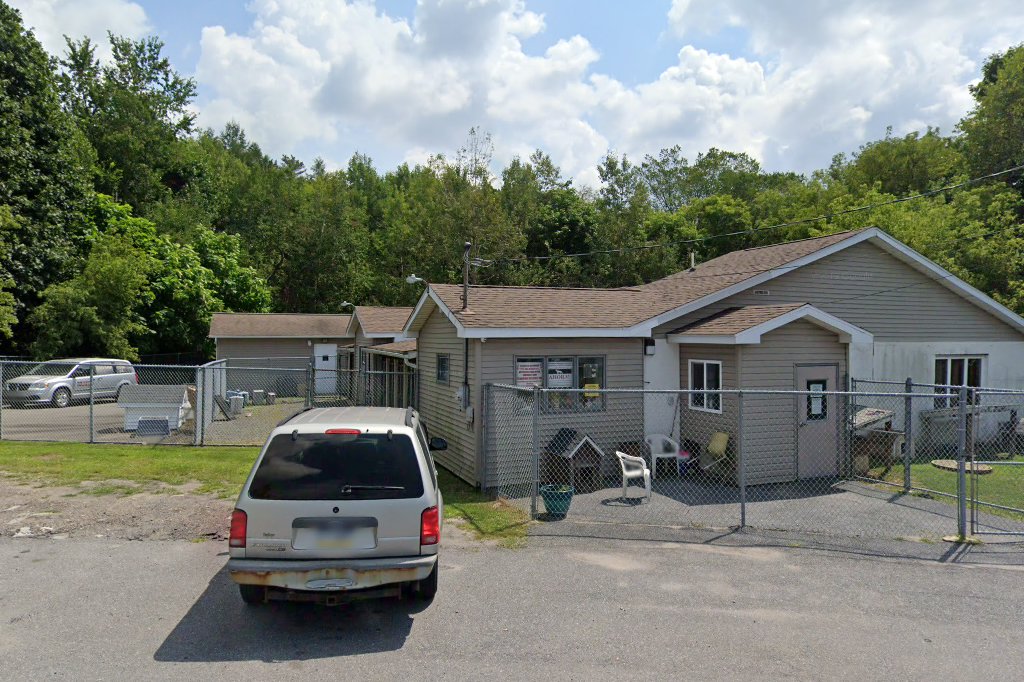 Hazleton Animal Shelter