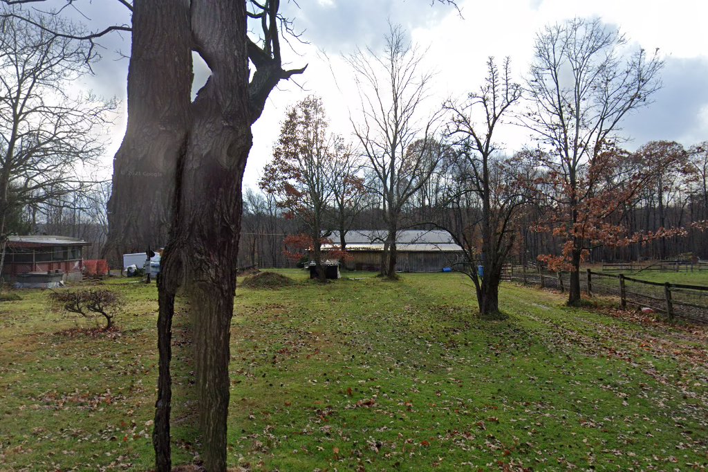 All American Ponies, Inc.