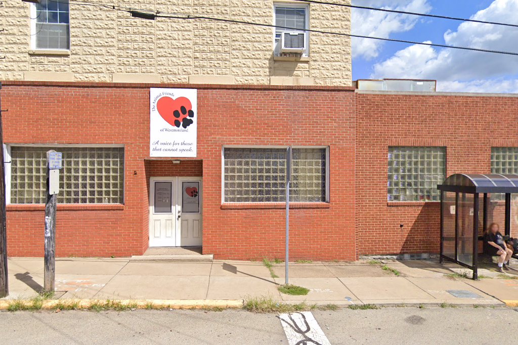 Youngwood Animal Control