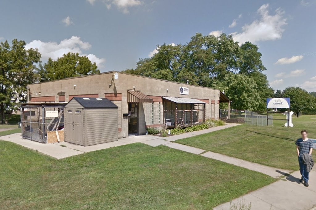 Animal Protectors of Allegheny Valley