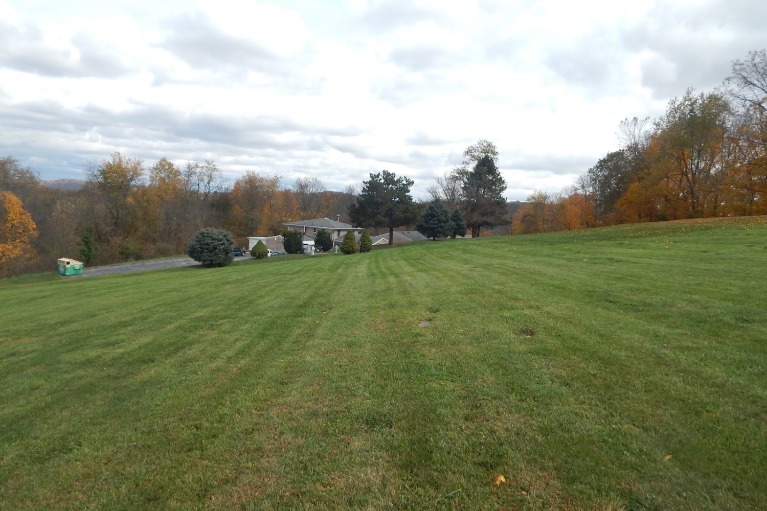 Fallen Timber Shelter