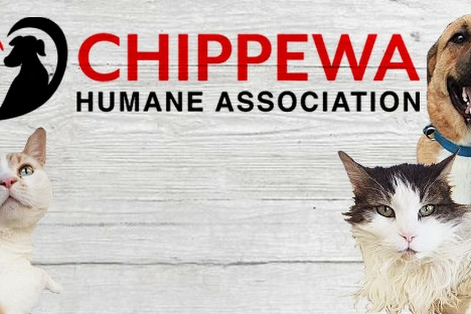 Chippewa County Humane Association