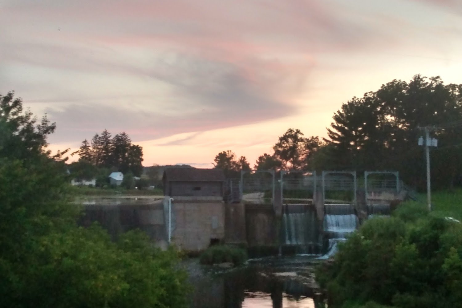 Thyme and Sage Ranch, Inc.