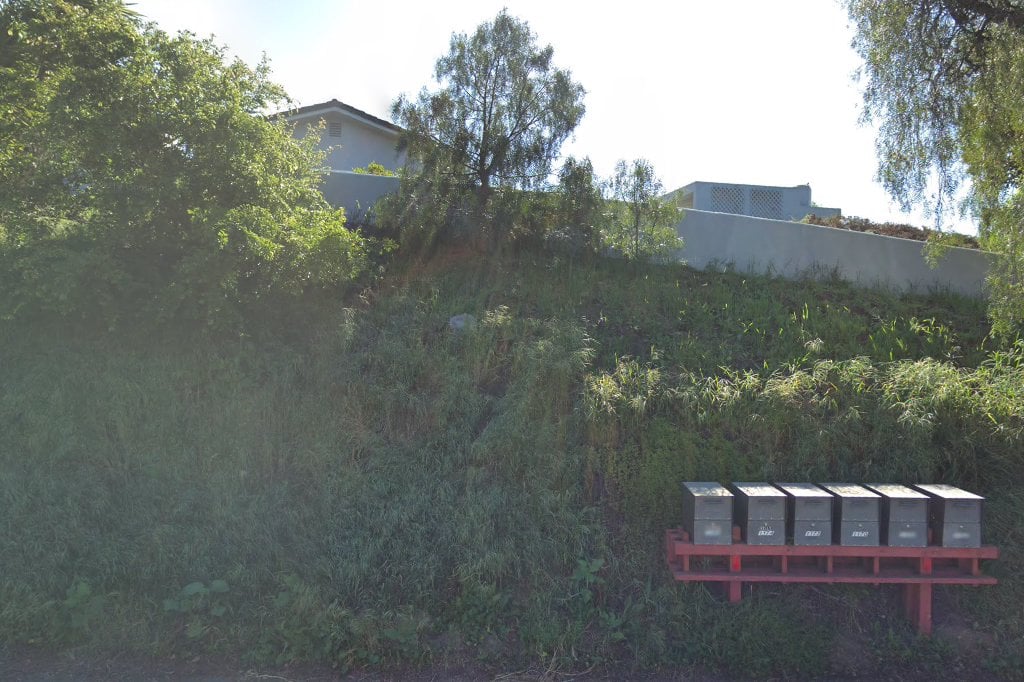 Second Chance Cocker Rescue