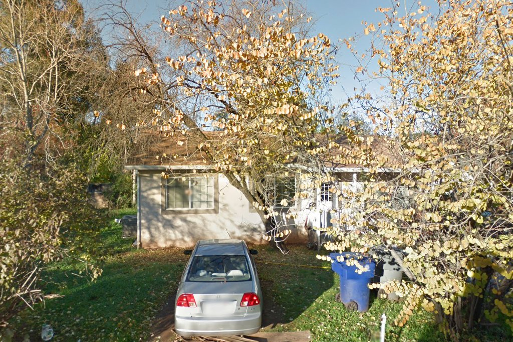 Coventry Companion Bird Survival Center