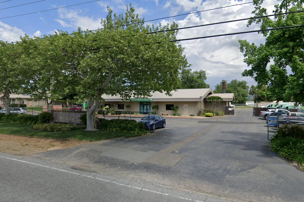 Haven Humane Society