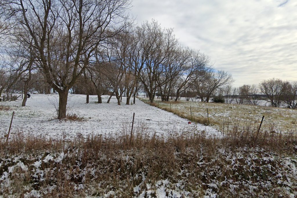 Roberts Animal Control