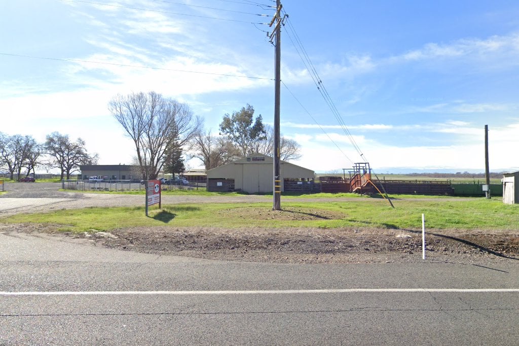 Look Ahead Veterinary Hospital