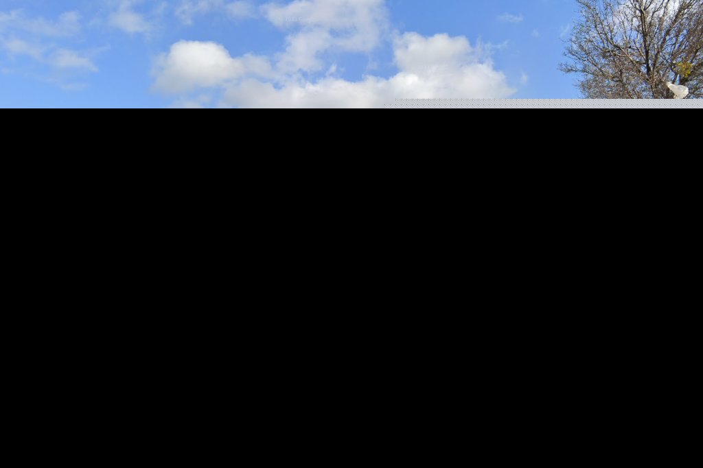 Modesto Veterinary Hospital