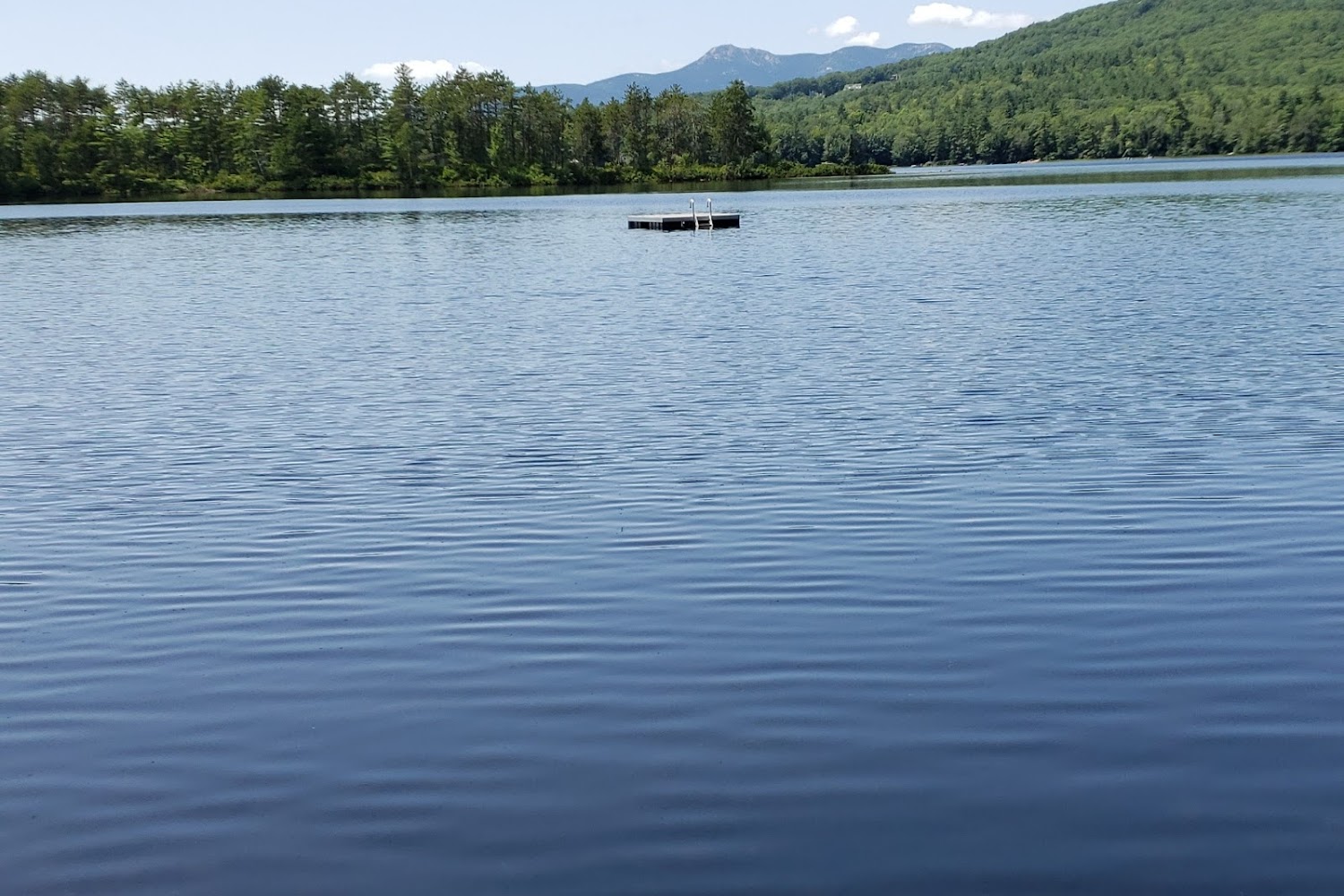 Eastern Slopes Animal Welfare League