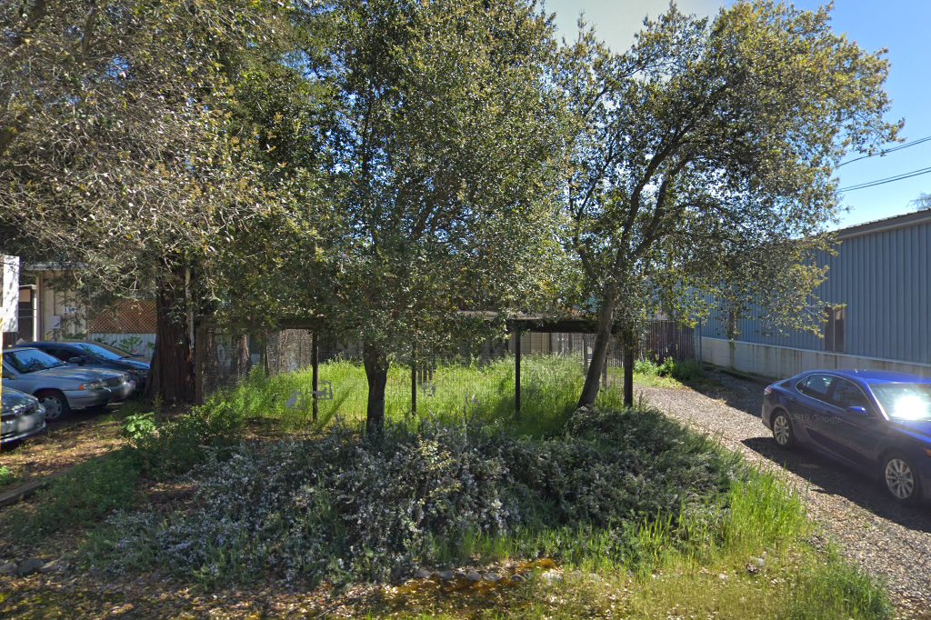 We Care Animal Society