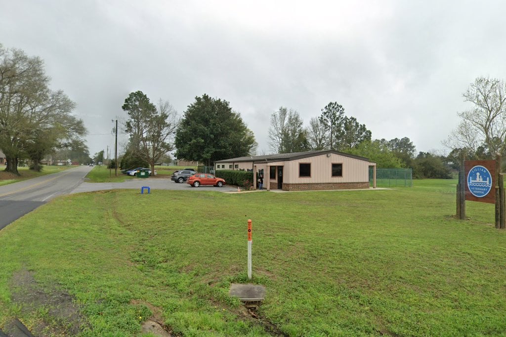 Lillian Veterinary Hospital