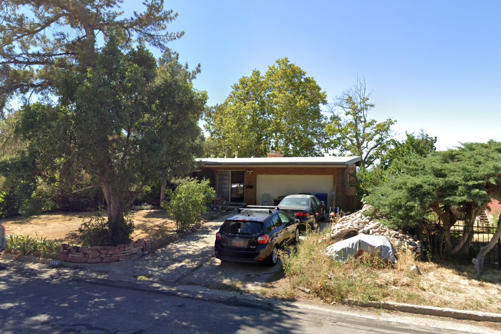 The Pet Samaritan Fund