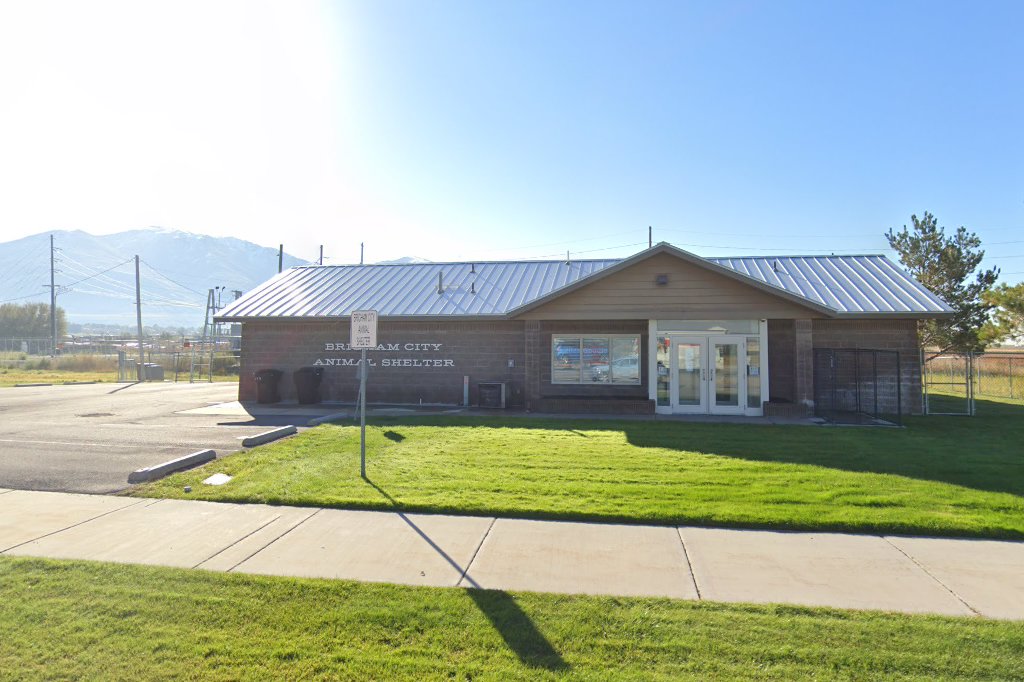 Box Elder County Animal Control