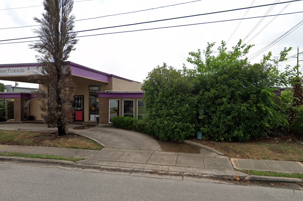 Greyhound Pets of America