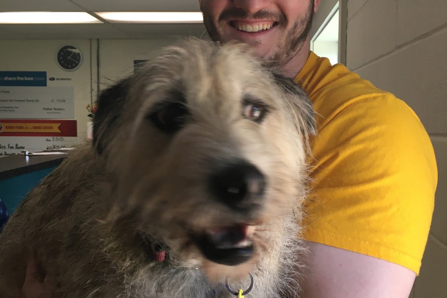 The Humane Society's Pets Fur People