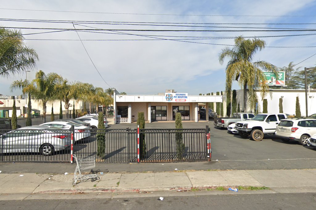 Rosemarie Pet Hospital