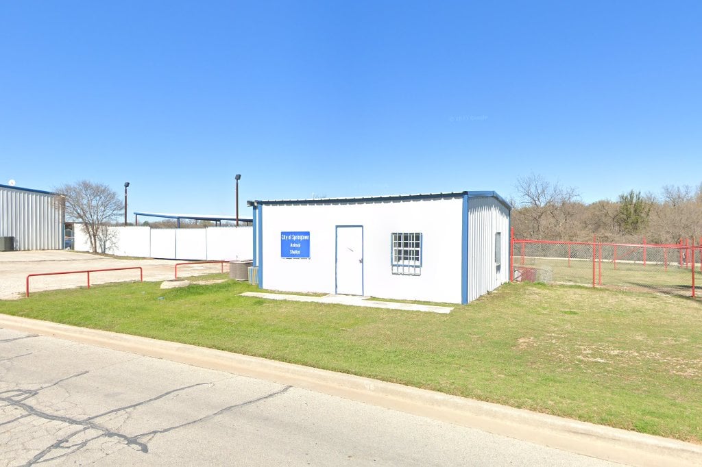 Springtown Animal Control