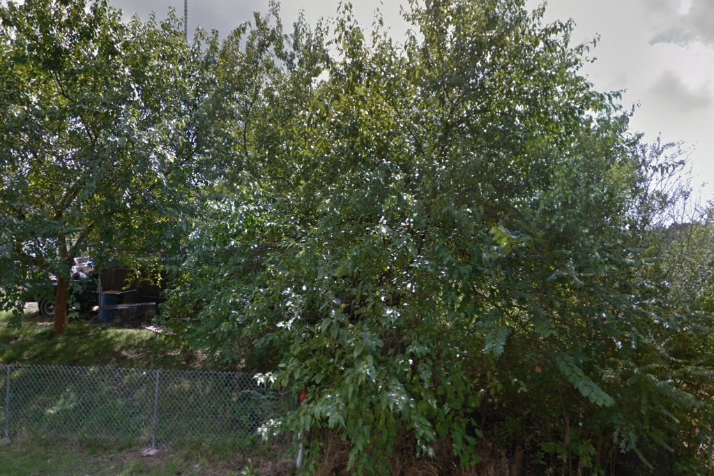 Frank Barchard Memorial Animal Shelter