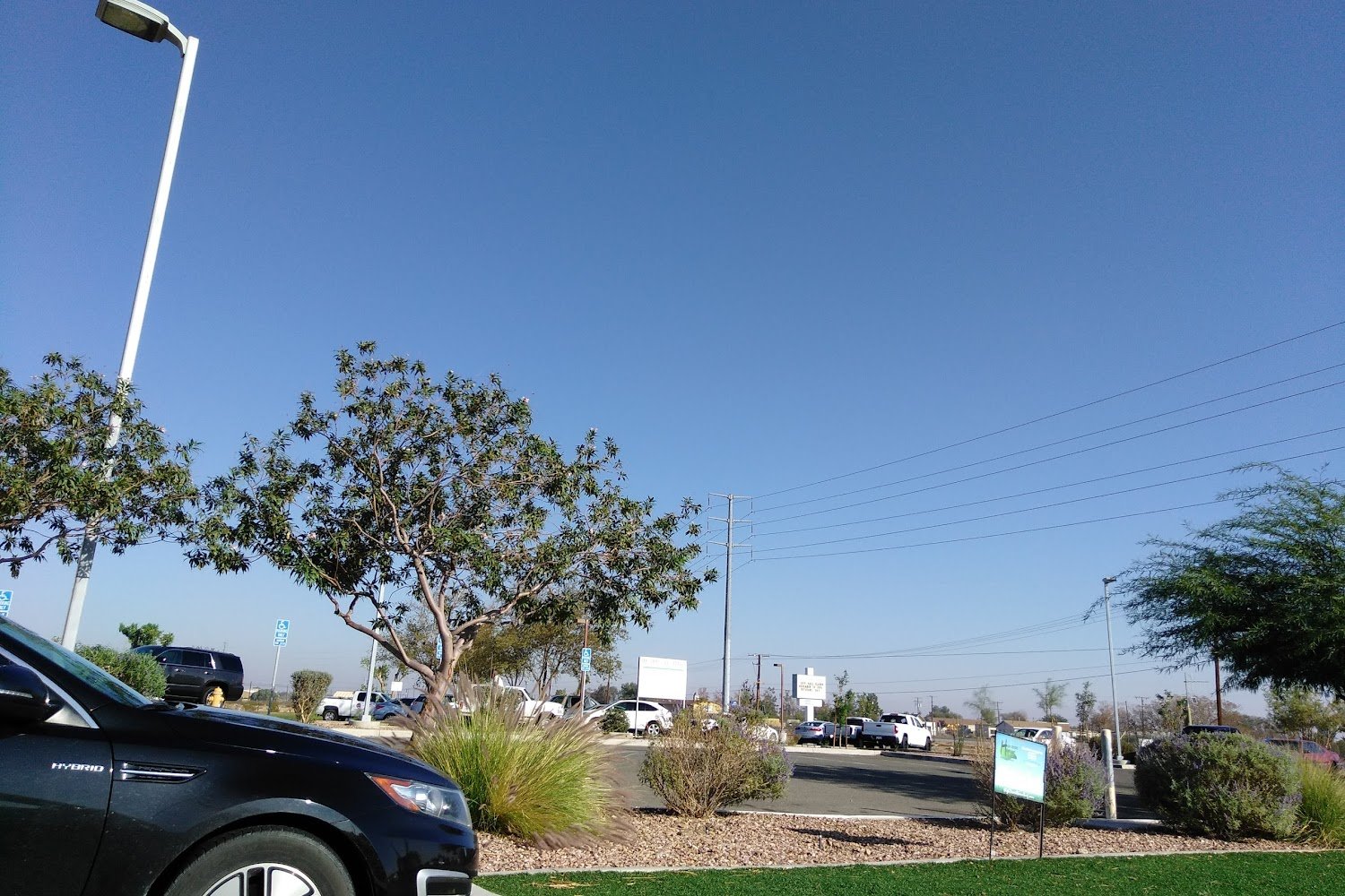 Adelanto Animal Control