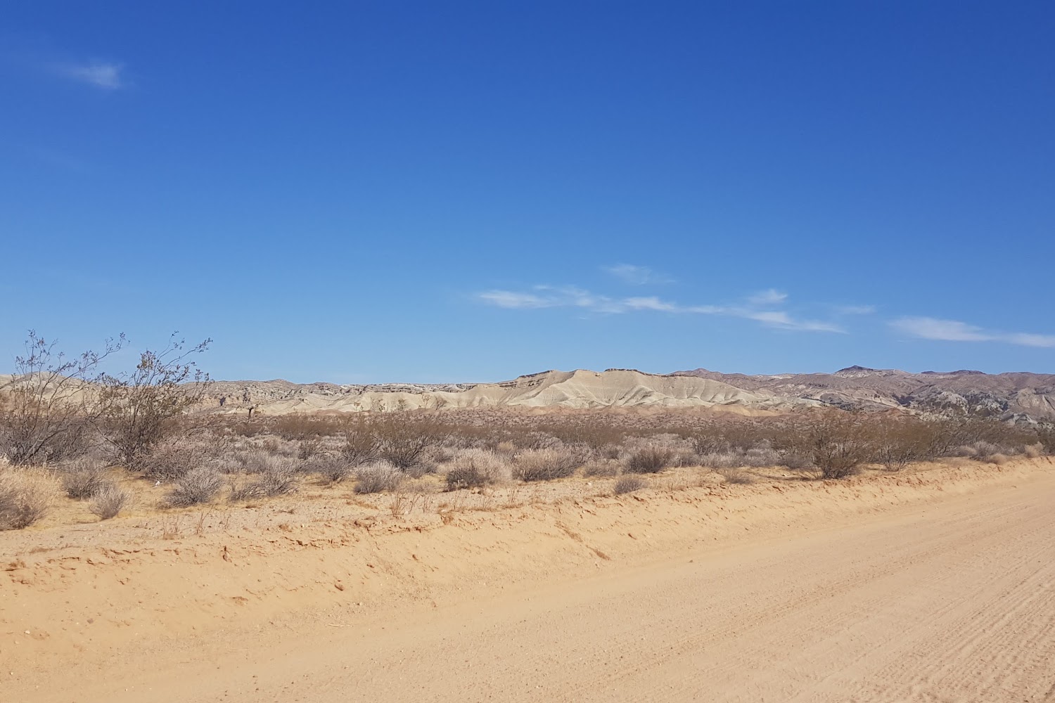 Barstow Animal Control