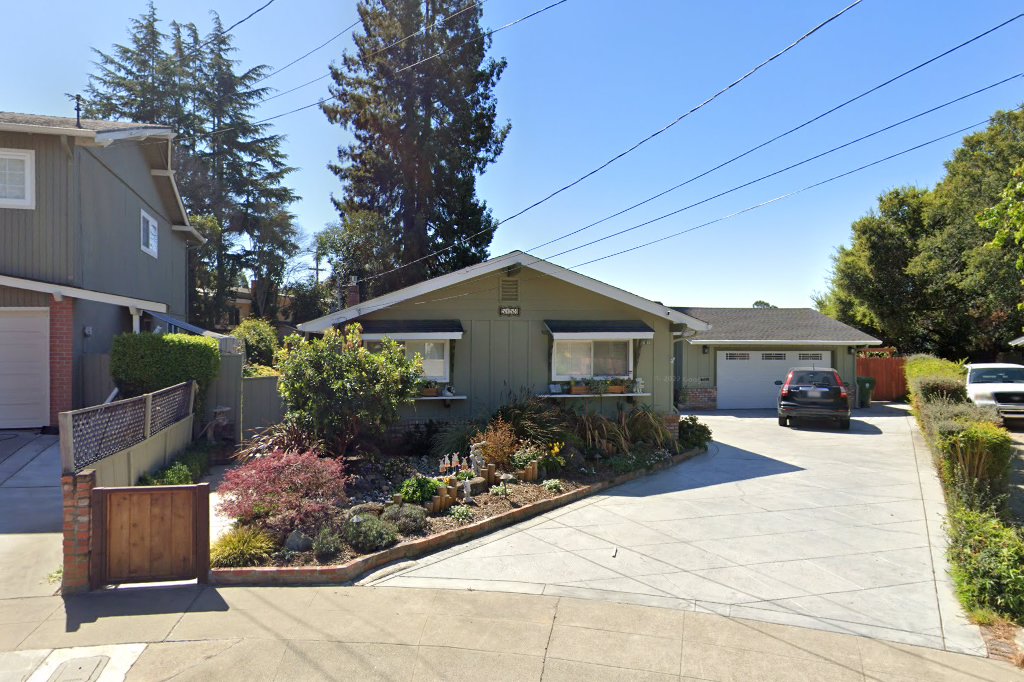 California Siamese Recue