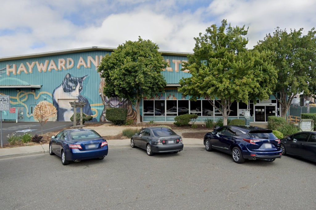 Hayward Animal Shelter