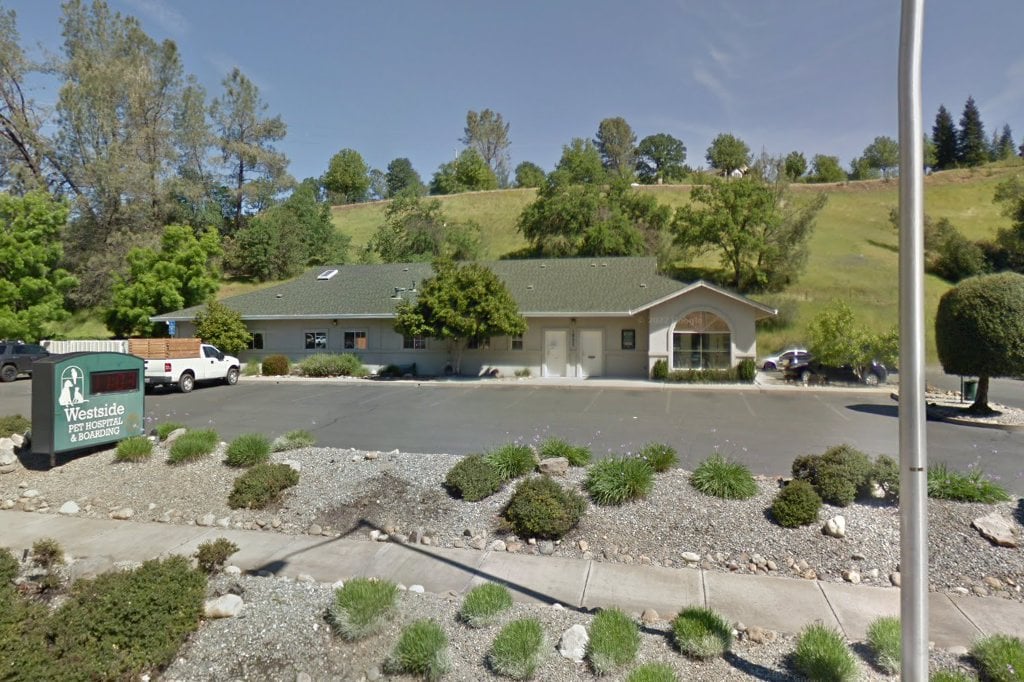 Westside Pet Hospital