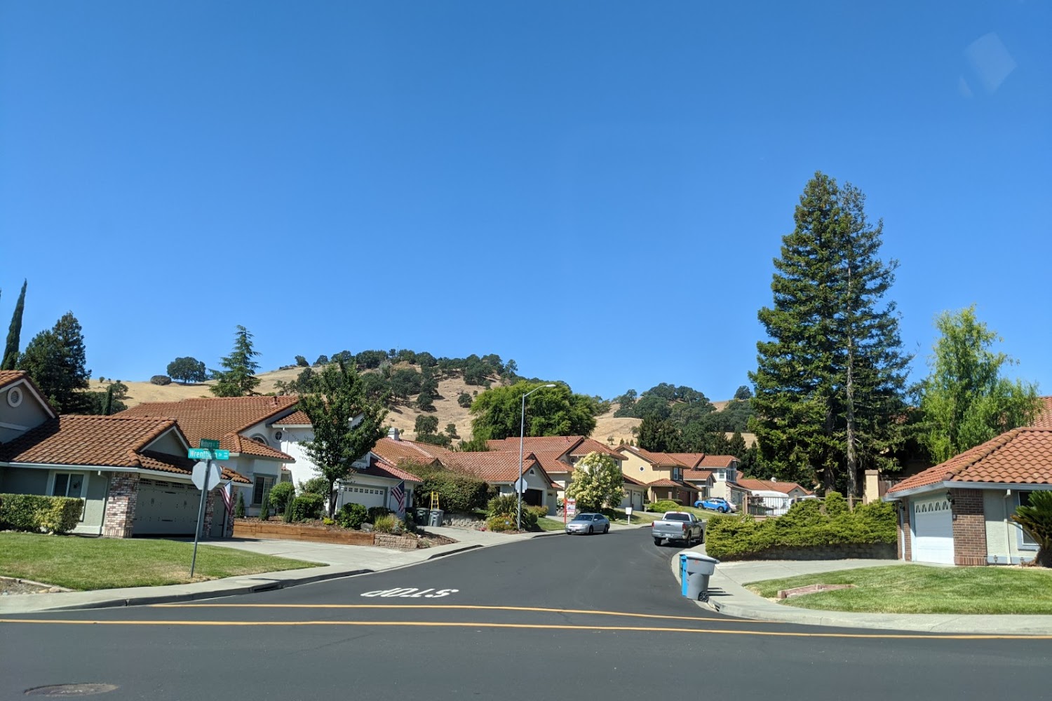 Northern California Sled Dog Rescue