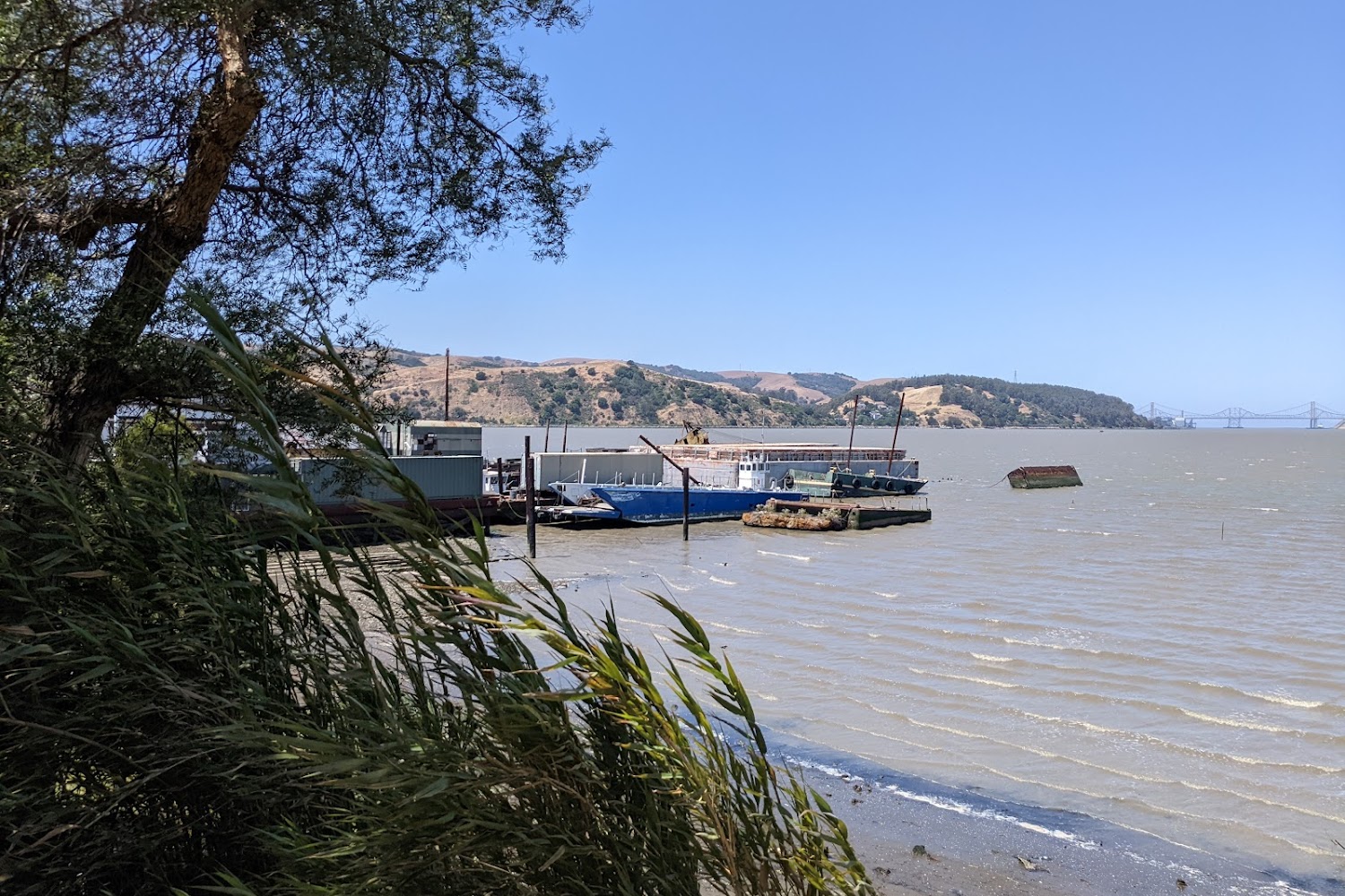 Solano County Friends of Animals