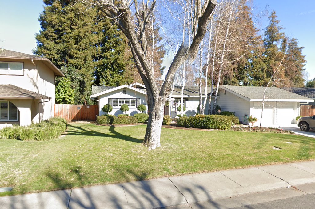 Central California Labrador Retriever Rescue