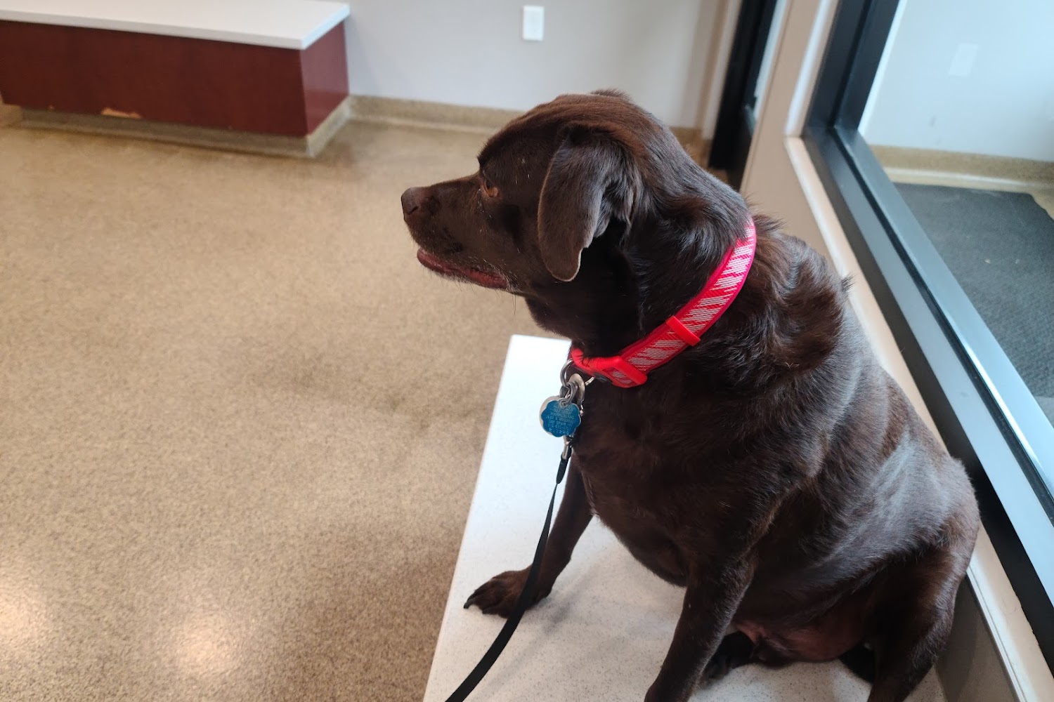 Sunflower Animal Hospital