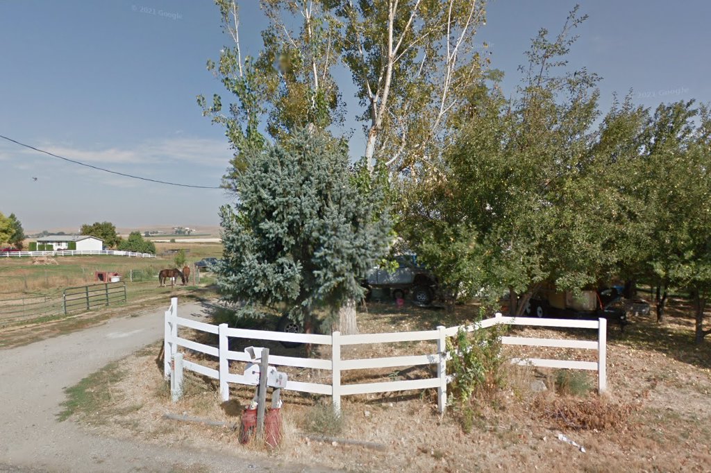 Emmett Ferret Shelter