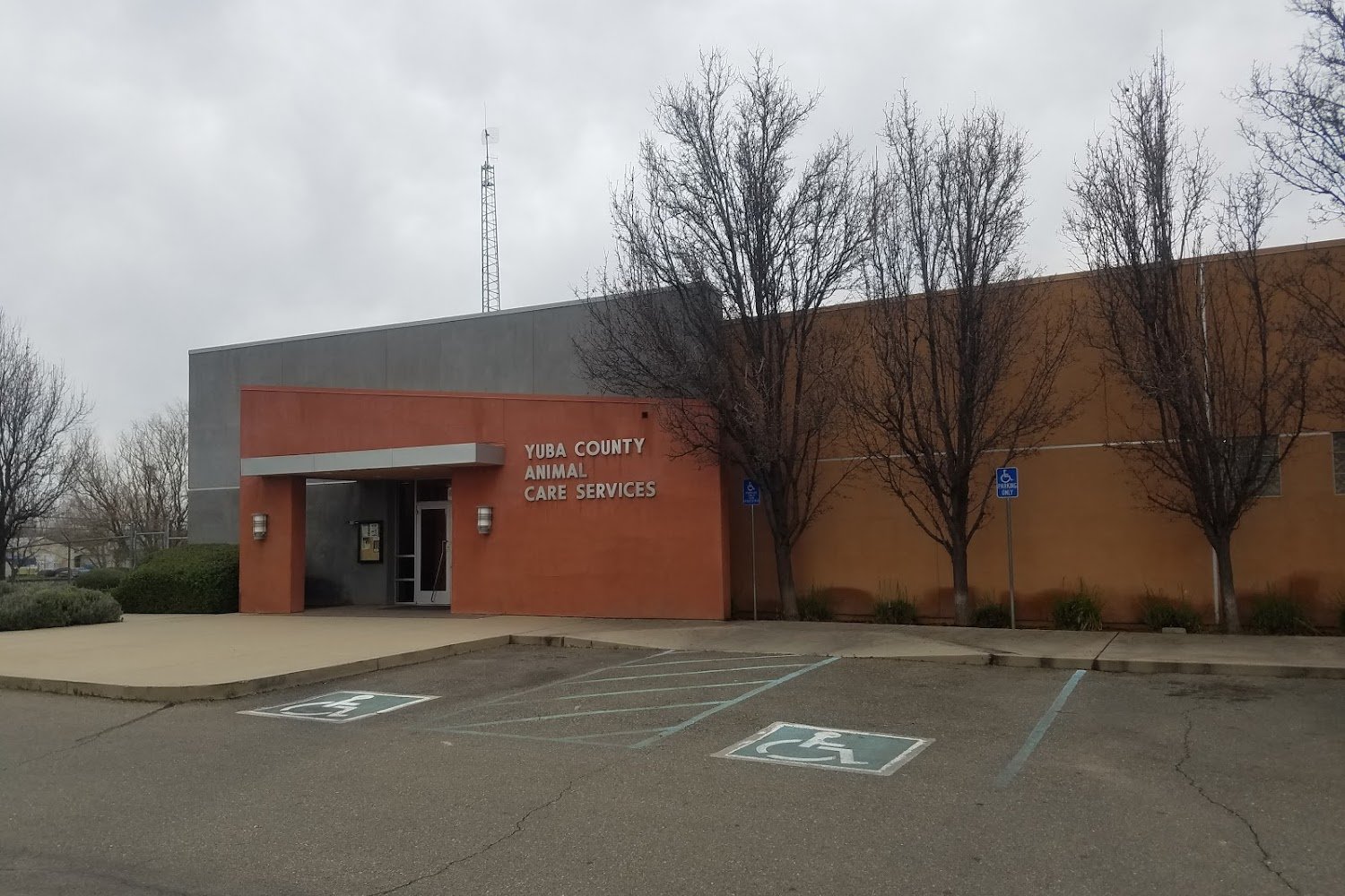 Yuba County Animal Control