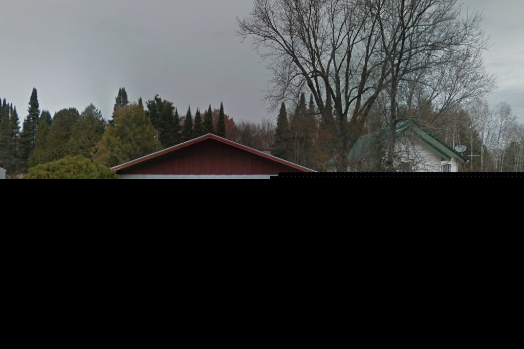 Lady Veterinary Hospital