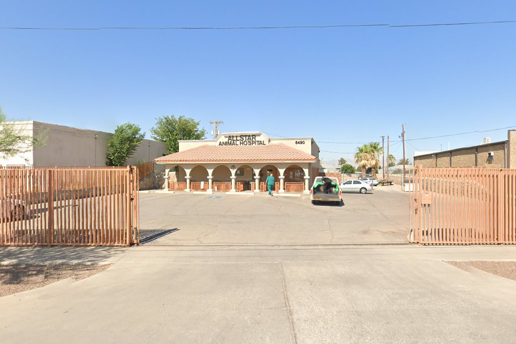 Allstar Animal Hospital