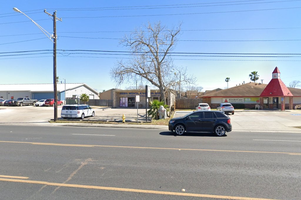 Animal Medical Corpus Christi