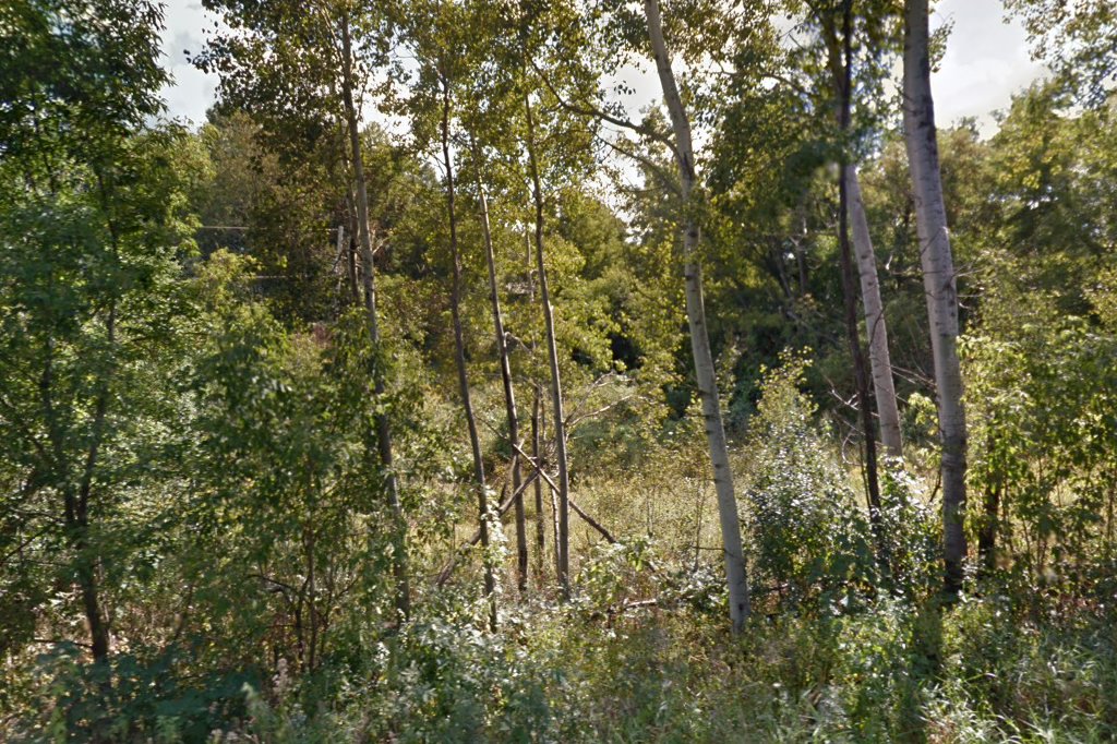 Hestekin Hills Pet Adoption Services