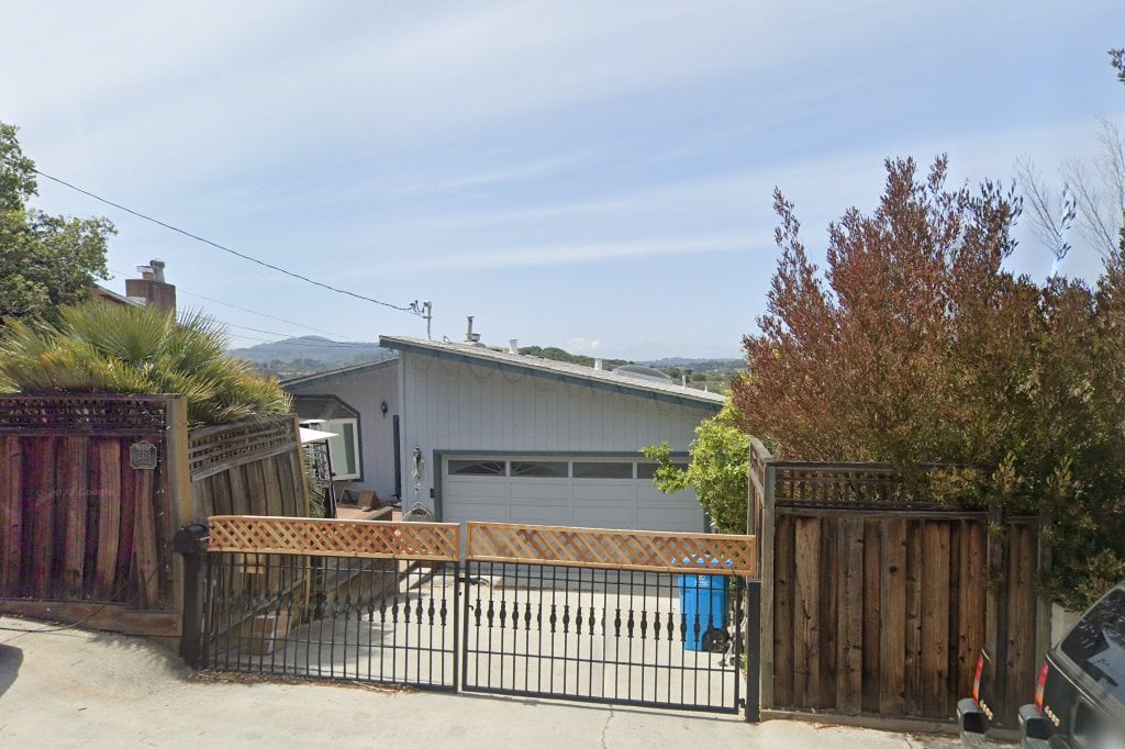 Belmont Animal Control