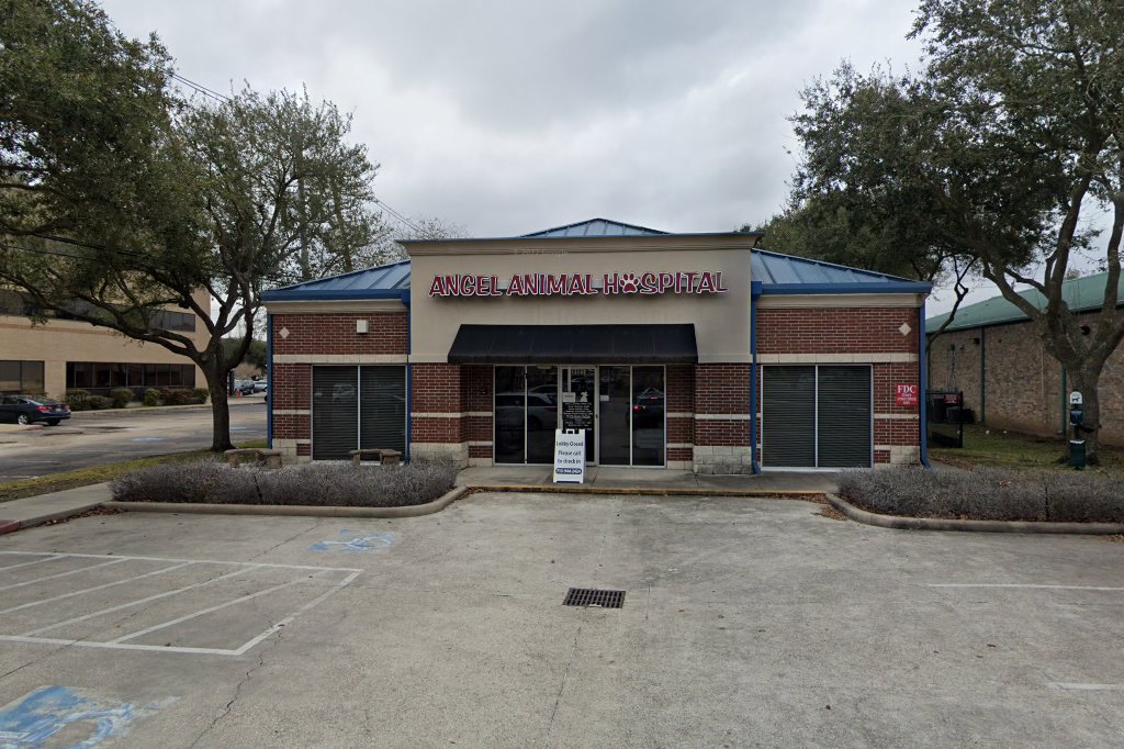 Angel Animal Hospital