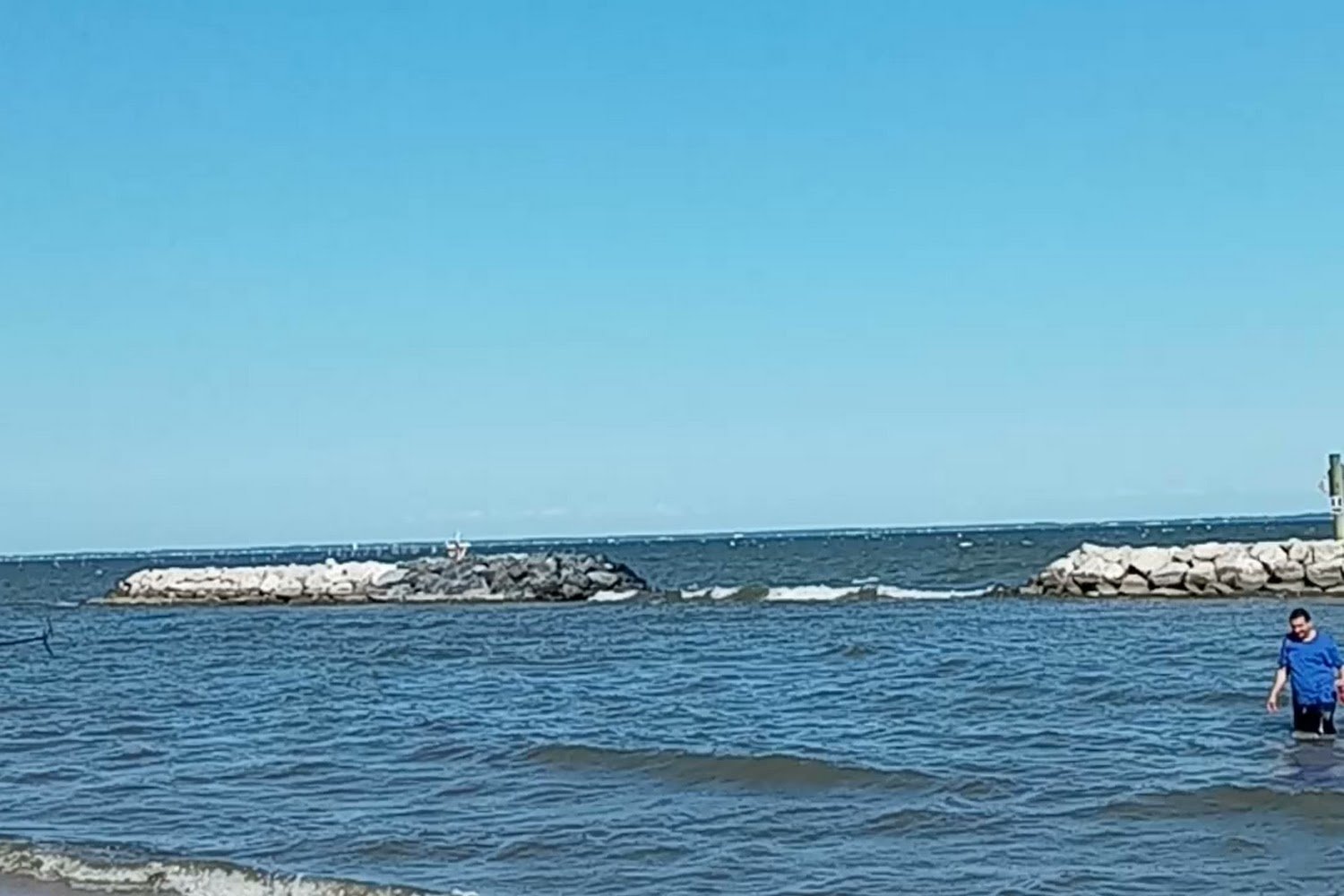 Rude Ranch Animal Rescue