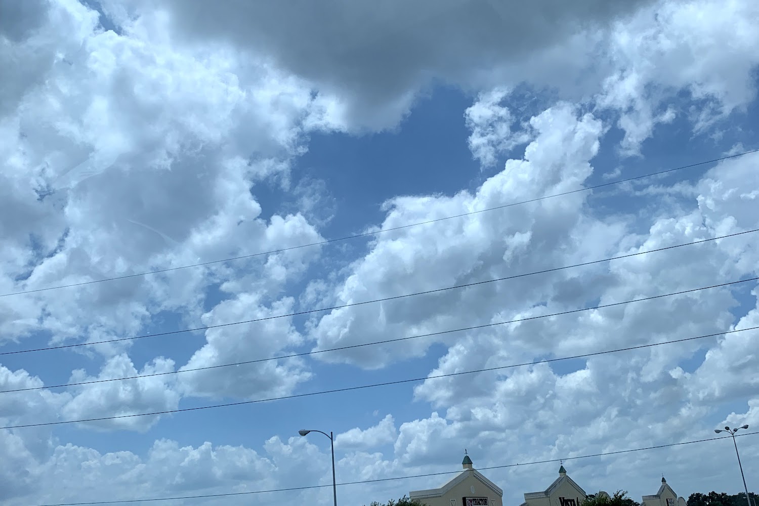 Impact Animal Foundation