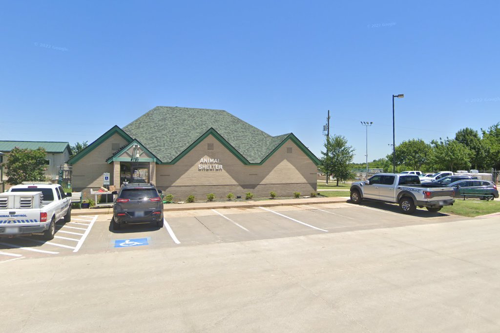 SPCA of Texas in the Colony