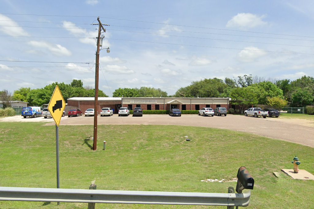 Fuzzy Friends Rescue