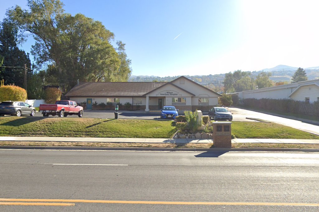 Wilson Veterinary Hospital
