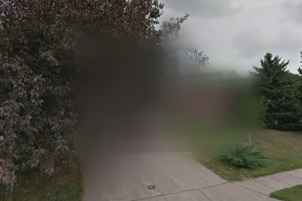 Nebraska Border Collie Rescue