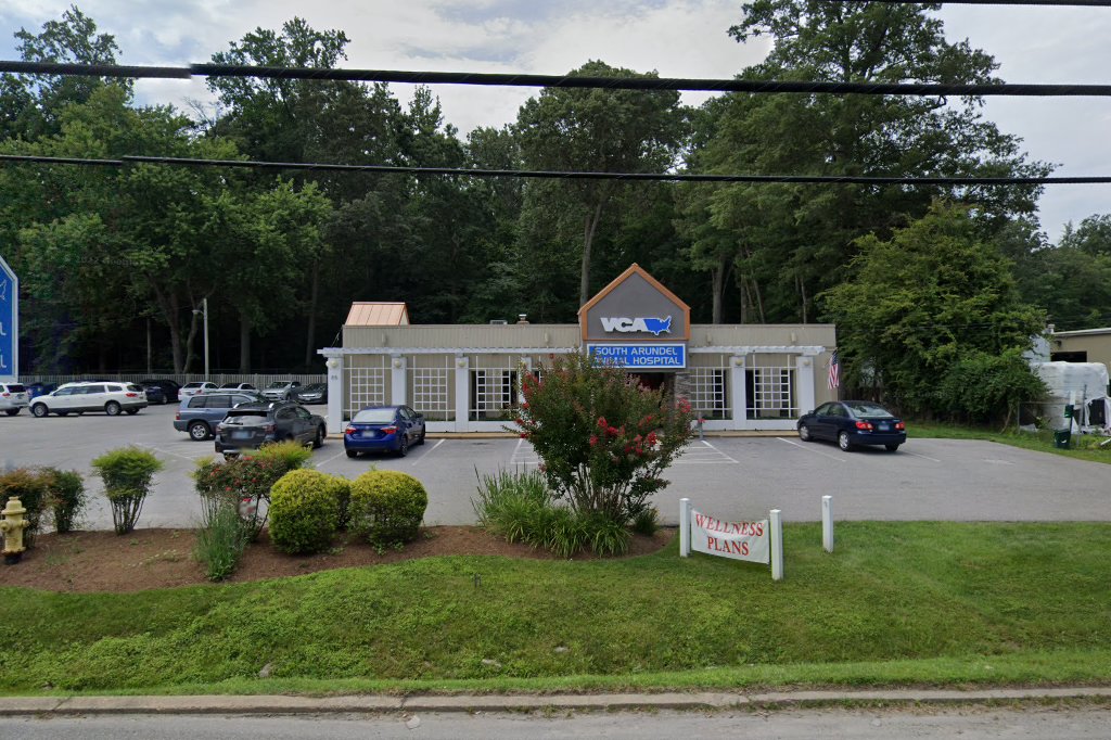 South Arundel Veterinary Hospital