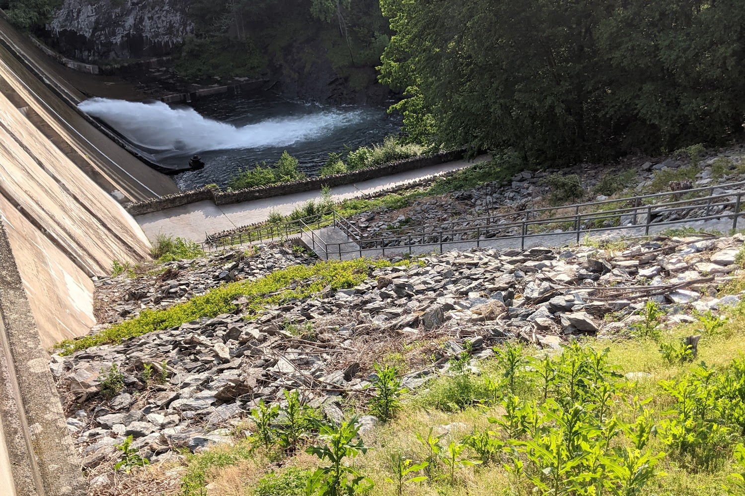 Equine Rescue & Rehab Inc